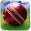Ȱ籭(Cricket WorldCup Fever) v1.0ͼ