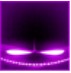 Զ֮޺Թ(EVAC HD) v2.2.2ͼ