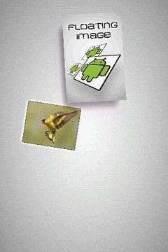 ͼƬ(Floating Image) v3.0.4