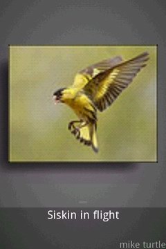 ͼƬ(Floating Image) v3.0.4
