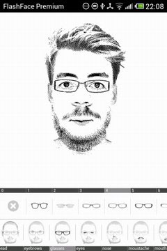ͷ FlashFace Premium V1.3ѸѰ
