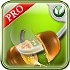 ߲(Veggie KungFu Pro) v1.0.0.1ͼ