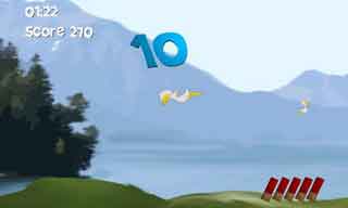 Ķ(Mad Goose - Hunting Game) v2.01