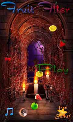 ˮ¸(Fruit Flier) v1.05