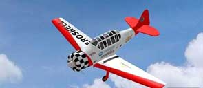 ģңطɻ Absolute RC Plane Sim v2.5