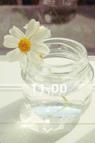 lomo¾