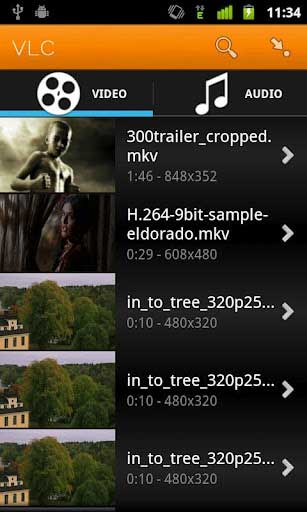 VLC v0.0.10