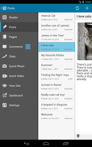 WordPressͻ v2.3.1