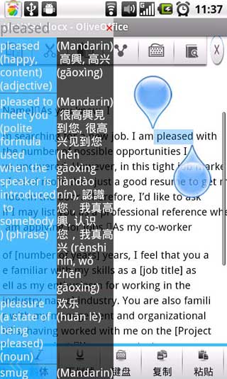 魴ʵ OliveDict v1.0