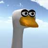  Quacky Races v1.0.2ͼ