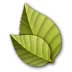  Ancestry v2.2.266ͼ