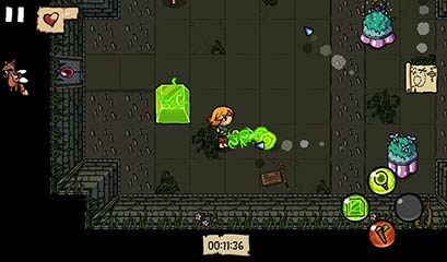 аŮ  Ittle Dew v1.2