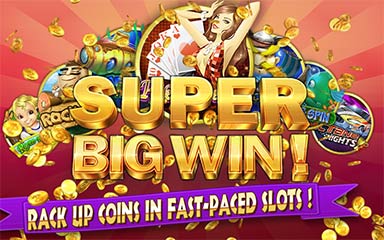  Bingo by IGG  v1.3.1