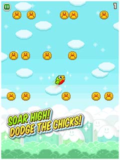  | Soaring Bird