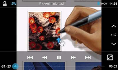DicePlayer
